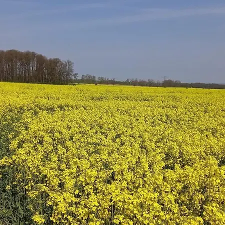 Mit Bergblick 公寓